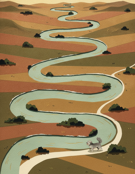 Imagen ilustrativa de meandro